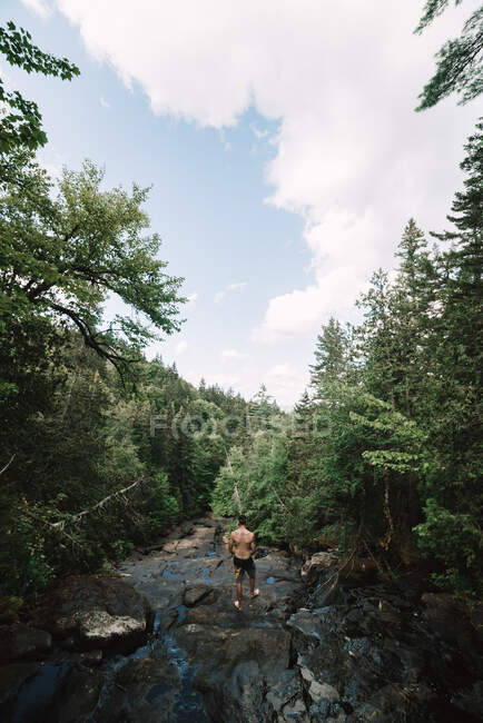 Vista posteriore di esploratore maschio anonimo in piedi su rocce vicino a fast street nella foresta verde del Parco Nazionale La Mauricie in Quebec, Canada — Foto stock