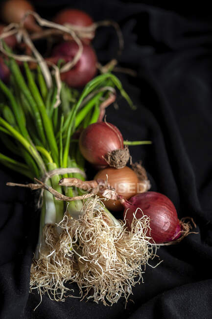 Cebollas rojas y blancas frescas sobre fondo oscuro.Comida vegana.Ingrediente alimentario - foto de stock