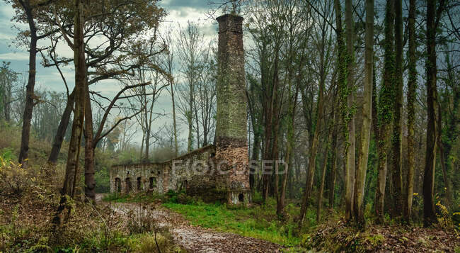 Vue grand angle d'un bâtiment industriel en brique déserte en ruine avec cheminée situé au milieu d'une forêt sans feuilles en Espagne — Photo de stock
