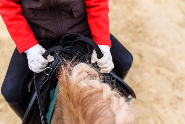 From above anonymous little jockey grasping reins and riding pony with braided man on sandy ground of paddock — Stock Photo