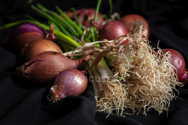 Frische rote und weiße Zwiebeln auf dunklem Hintergrund. Veganes Lebensmittel.Lebensmittelzutat — Stockfoto