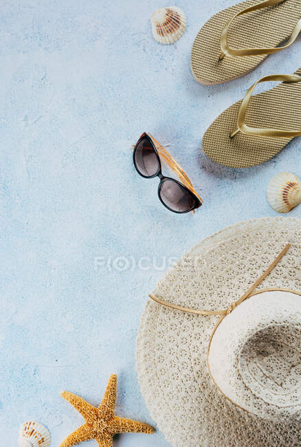 Vista dall'alto di varie conchiglie posizionate vicino a eleganti accessori estivi sulla superficie in gesso blu — Foto stock