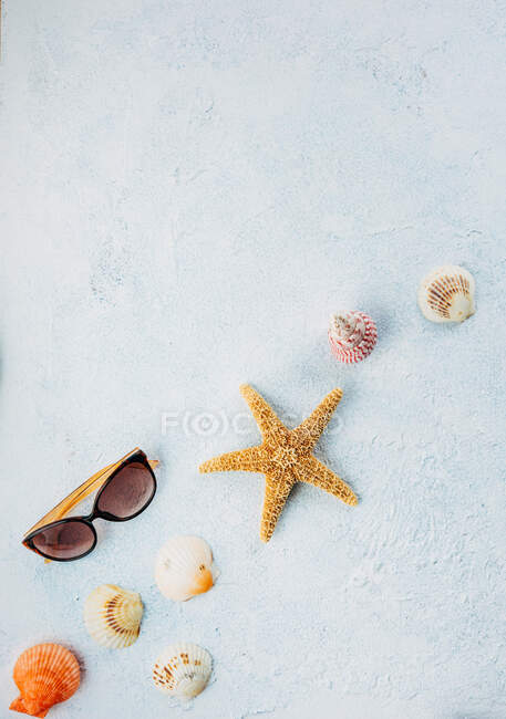 Вид зверху на модні сонцезахисні окуляри поблизу сухої морської зірки і дрібні черепашки на гіпсовій поверхні в літній день — стокове фото
