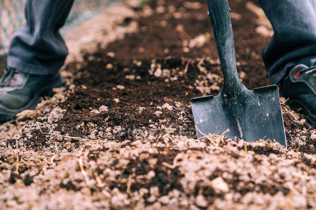 Неузнаваемый фермер копает землю лопатой в саду — стоковое фото