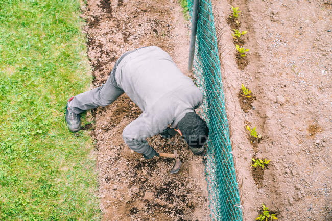 Человек, работающий с рэйком в саду — стоковое фото