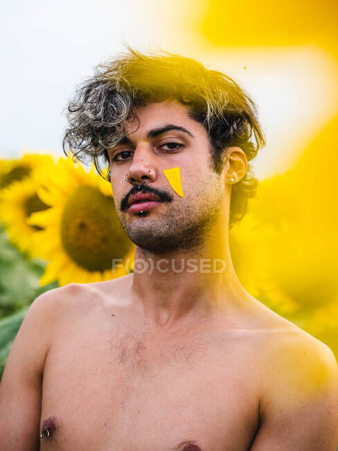 Tranquil male with naked torso and yellow petal on face standing in bright sunflower field and looking at camera — Stock Photo