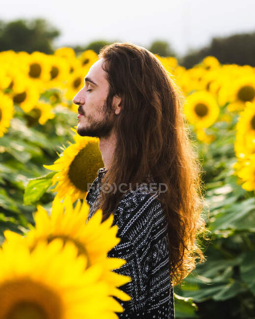 Vista lateral de sereno macho hipster sem emoções com cabelos longos em pé no campo de girassol amarelo com os olhos fechados — Fotografia de Stock