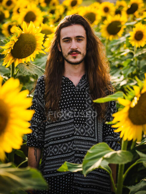 Безмятежный хипстер мужского пола с длинными волосами, стоящий на желтом подсолнечном поле и смотрящий в камеру — стоковое фото