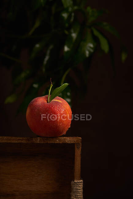 Stillleben mit ganz frischem, nassem, saftigen Pfirsich auf Holztisch vor dunklem Hintergrund — Stockfoto