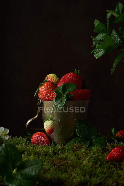 Composición con fresas rojas maduras frescas con hojas de menta colocadas en un recipiente de metal sobre fondo oscuro - foto de stock