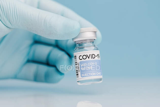 Closeup of unrecognizable doctor with collection of glass vial with vaccine from COVID 19 placed on table on blue background — Stock Photo