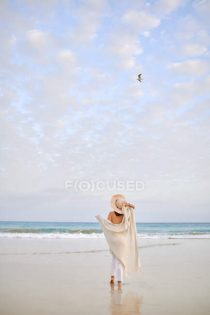 Indietro vista femminile viaggiatore in cappello a piedi lungo la riva del mare e guardando altrove — Foto stock