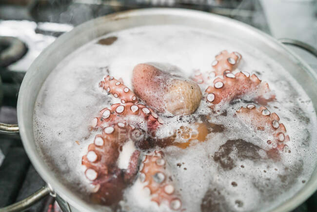 From above of delicious giant Pacific octopus in metal saucepan with boiling water placed on stove in kitchen — Stock Photo