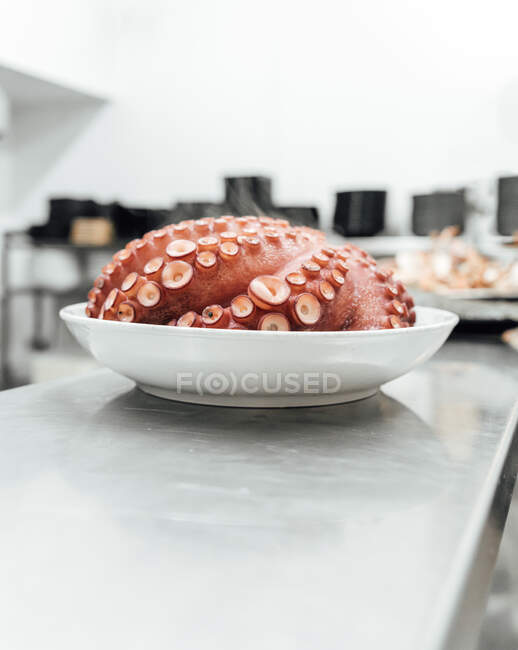 Appetizing freshly prepared giant Pacific octopus served in white bowl and placed on table in kitchen — Stock Photo