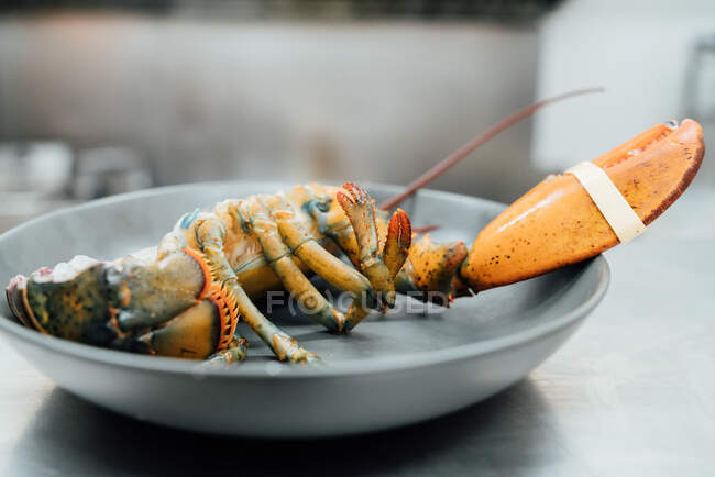 Alto angolo di deliziosa aragosta fresca servita in ciotola e posta sul tavolo in cucina ristorante — Foto stock