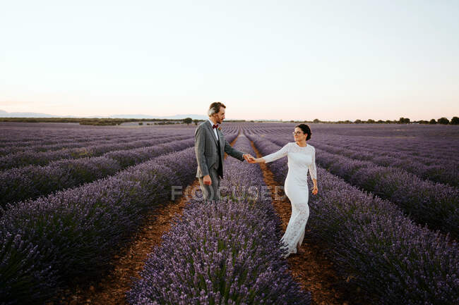 Vista lateral de la novia y el novio tomados de la mano y caminando en el campo de lavanda en flor mientras se miran el uno al otro - foto de stock