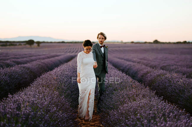 Novia y novio tomados de la mano y caminando en el campo de lavanda floreciente - foto de stock