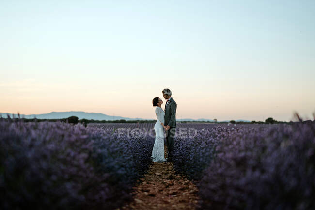 Vista lateral de pareja romántica recién casada de pie cara a cara en un campo espacioso contra el cielo púrpura atardecer - foto de stock