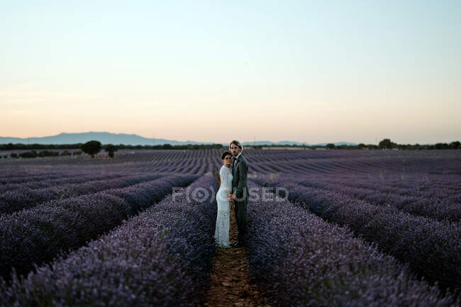 Side view of romantic newlywed couple standing face to face on spacious field against purple sunset sky looking at camera — Stock Photo