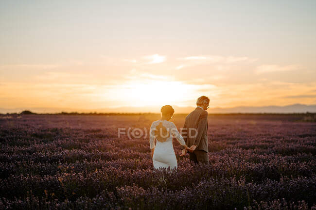 Der Bräutigam hält die Hand der Braut, während er am Hochzeitstag im Lavendelfeld vor dem Hintergrund des Sonnenuntergangs spaziert — Stockfoto