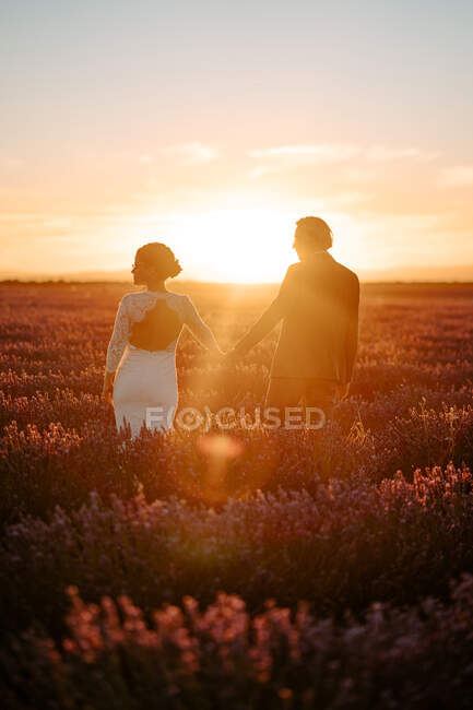 Noivo abraçando noiva de pé de mãos dadas olhando para longe no campo de lavanda no fundo do céu por do sol no dia do casamento — Fotografia de Stock