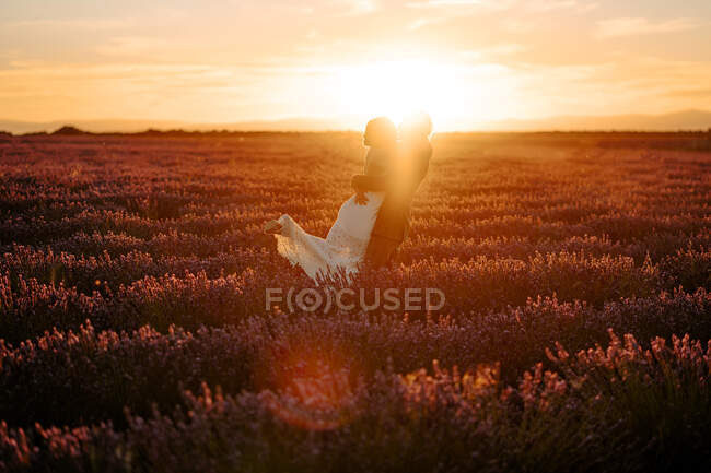 Seitenansicht des unkenntlichen Bräutigams, der die Braut hebt, während er im Lavendelfeld vor dem Hintergrund des Sonnenuntergangs am Hochzeitstag steht — Stockfoto