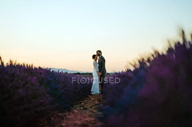 Vista lateral de pareja romántica recién casada de pie cara a cara en un campo espacioso contra el cielo púrpura atardecer - foto de stock