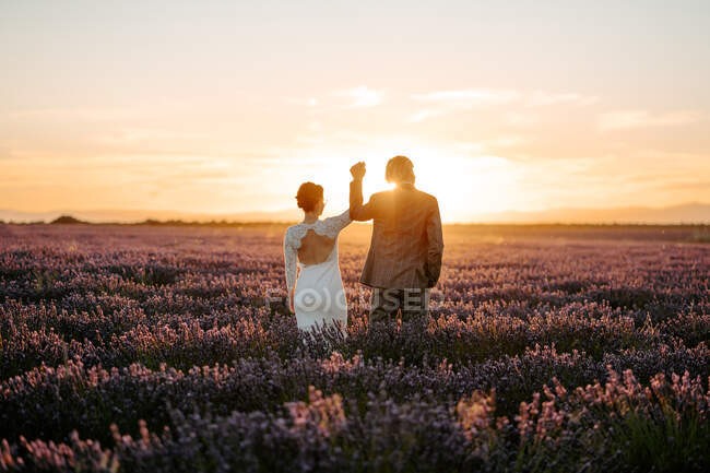 Back view of faceless newlywed couple wearing classy wedding gowns dancing and holding hands gently on spacious blooming lavender field at picturesque sunset — Stock Photo