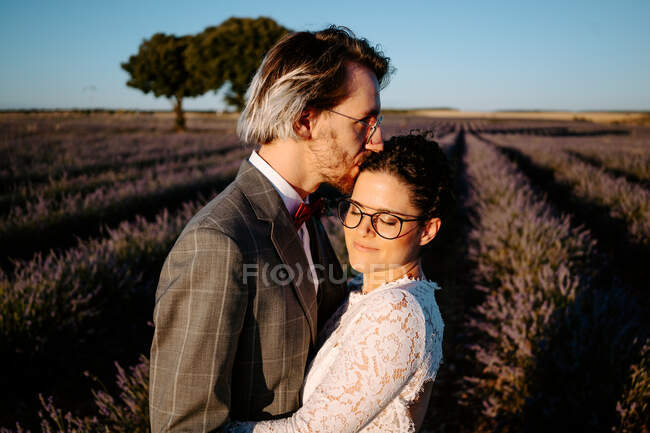 Вид збоку романтичного нареченого цілує голову нареченої, стоячи обличчям до лиця на просторому лавандовому полі на блакитному небі — стокове фото
