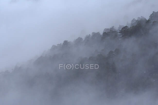 Majestätische Waldlandschaft in bergigem Gelände mit dichtem Nebel im Sierra de Guadarrama Nationalpark — Stockfoto