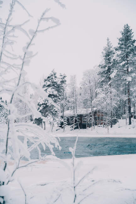 Paesaggio tranquillo di casa in legno situata vicino allo stagno in boschi innevati in inverno — Foto stock