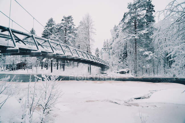 Incredibile vista del ponte sospeso sul fiume nella foresta invernale innevata il giorno coperto — Foto stock