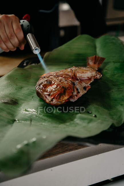 Cropped unrecognizable male chef cooking fried fish with gas torch while working in seafood restaurant — Stock Photo