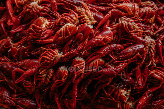 Сверху полный фон рамы из груды красной скорлупы, покрытой пресноводными или морскими животными с когтями — стоковое фото