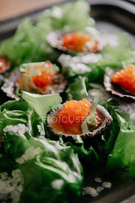 From above delicatessen exquisite oysters in shells with sea salt seaweed and caviar — Stock Photo