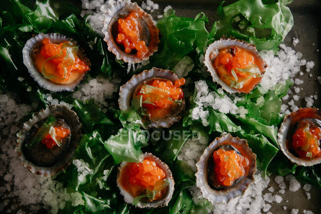 Top view of delicatessen exquisite oysters in shells with sea salt seaweed and caviar — Stock Photo
