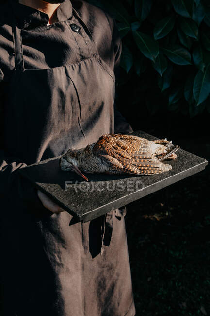 Crop anonymous cook in apron carrying tray with dead bird for cooking delicatessen dish — Stock Photo