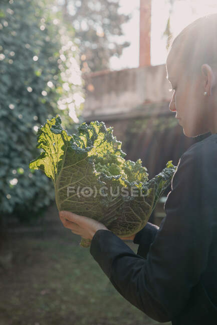 Боковой вид серьезной женщины с спелыми овощами в руках, стоящими во дворе пригородного дома — стоковое фото