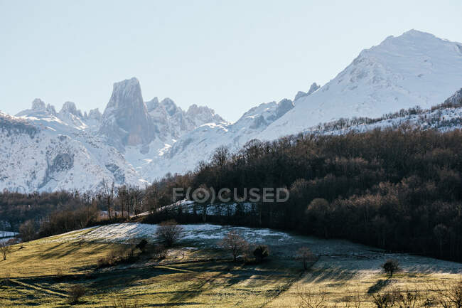 Malerische Landschaft eines bewaldeten Tals mit blattlosen Bäumen, die am Fuße des rauen, schneebedeckten Gebirges an sonnigen Wintertagen wachsen — Stockfoto