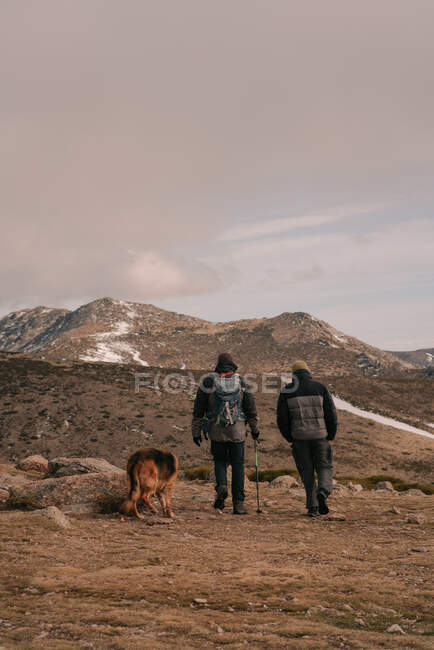 Vista posteriore di escursionisti anonimi maschili in abiti caldi con zaini e bastoni da trekking che camminano su un ruvido pendio di montagna con cane pastore tedesco contro il cielo nuvoloso al tramonto — Foto stock
