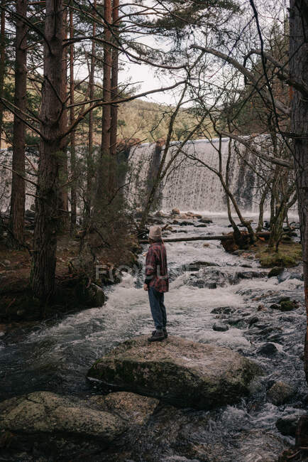 Side view of anonymous female tourist admiring foamy cascade in mounts from big stone between trees — Stock Photo
