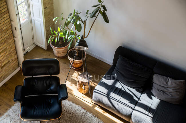 Von oben Innenraum des Wohnzimmers mit grünen Topfpflanzen und bequemem Sofa in Wohnung im Loft-Stil — Stockfoto