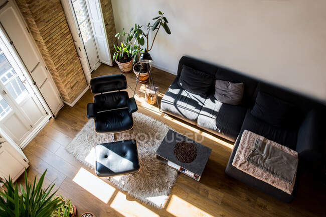 De cima Interior da sala de estar com plantas envasadas verdes e sofá confortável em apartamento em estilo loft — Fotografia de Stock