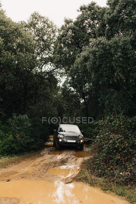 Voiture moderne SUV conduite le long de la route sale entre les arbres verts pendant le voyage sur la route — Photo de stock