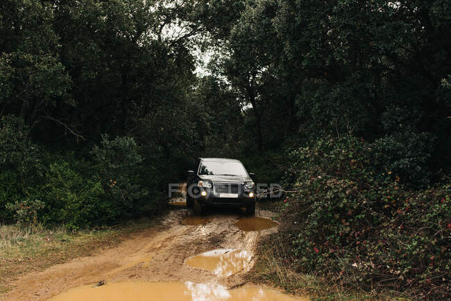 Modern SUV car driving along dirty road between green trees during road trip — Stock Photo