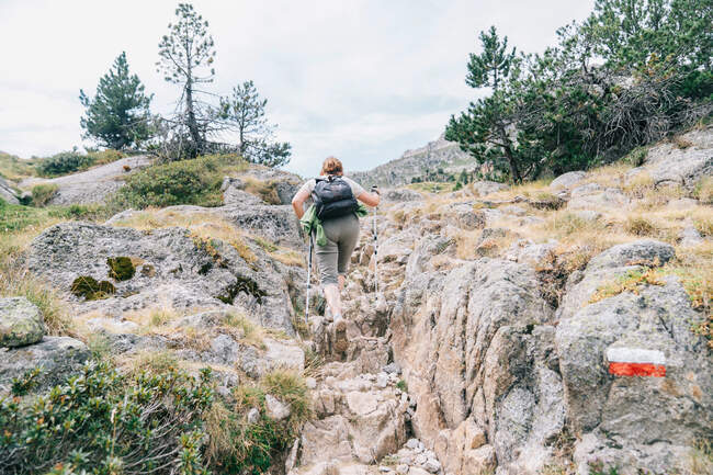 Ganzkörper-Rückenansicht einer unkenntlich konzentrierten erwachsenen Frau in Freizeitkleidung, die Stockwandern übt und auf einem steinigen Pfad am Berghang in der sommerlichen Natur bergauf geht — Stockfoto
