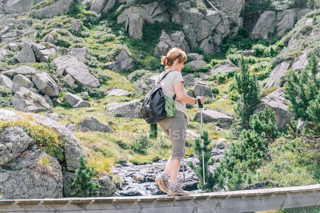 Side view full length female backpacker in casual outfit practice pole walking and passing narrow wooden footbridge over brook in stony verdant terrain in Catalan Pyrenees — Photo de stock