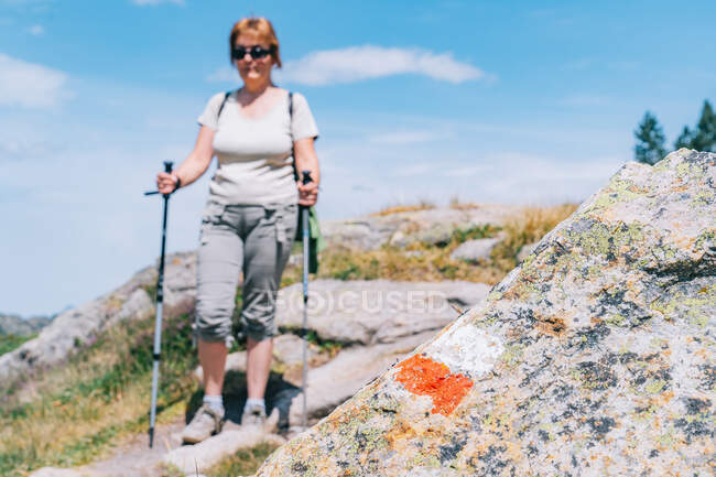 Blurred adult mature female in casual wear practicing pole walking and going down near stone painted marked with french GR footpath on hill slope in summer nature in — Stock Photo