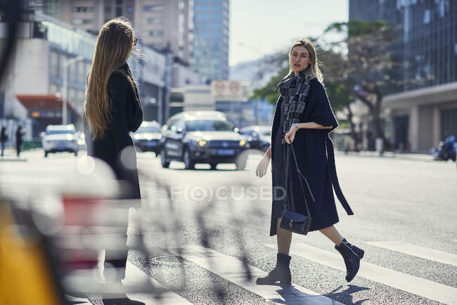 Vue latérale de jeunes partenaires féminines élégantes blondes dans des vêtements à la mode se promenant sur la route asphaltée en ville — Photo de stock