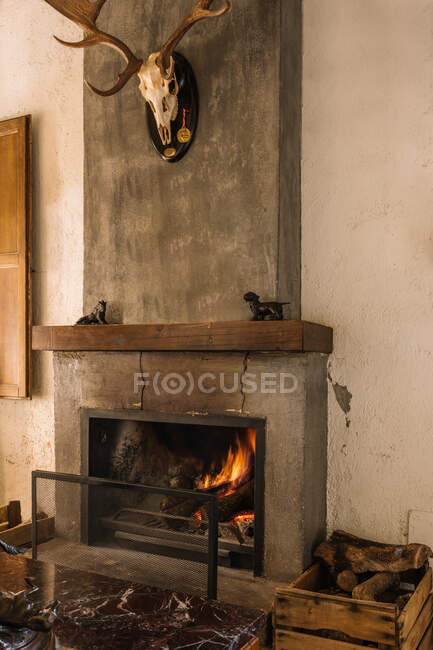 Interior da casa de insinuação rústica com lareira e chifres de veados pendurados na parede — Fotografia de Stock